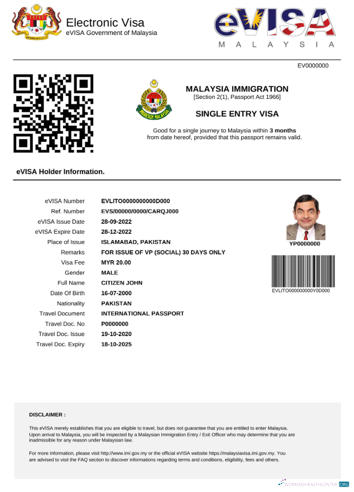 Download Malaysia e visa in Word and PDF template Photoshop template